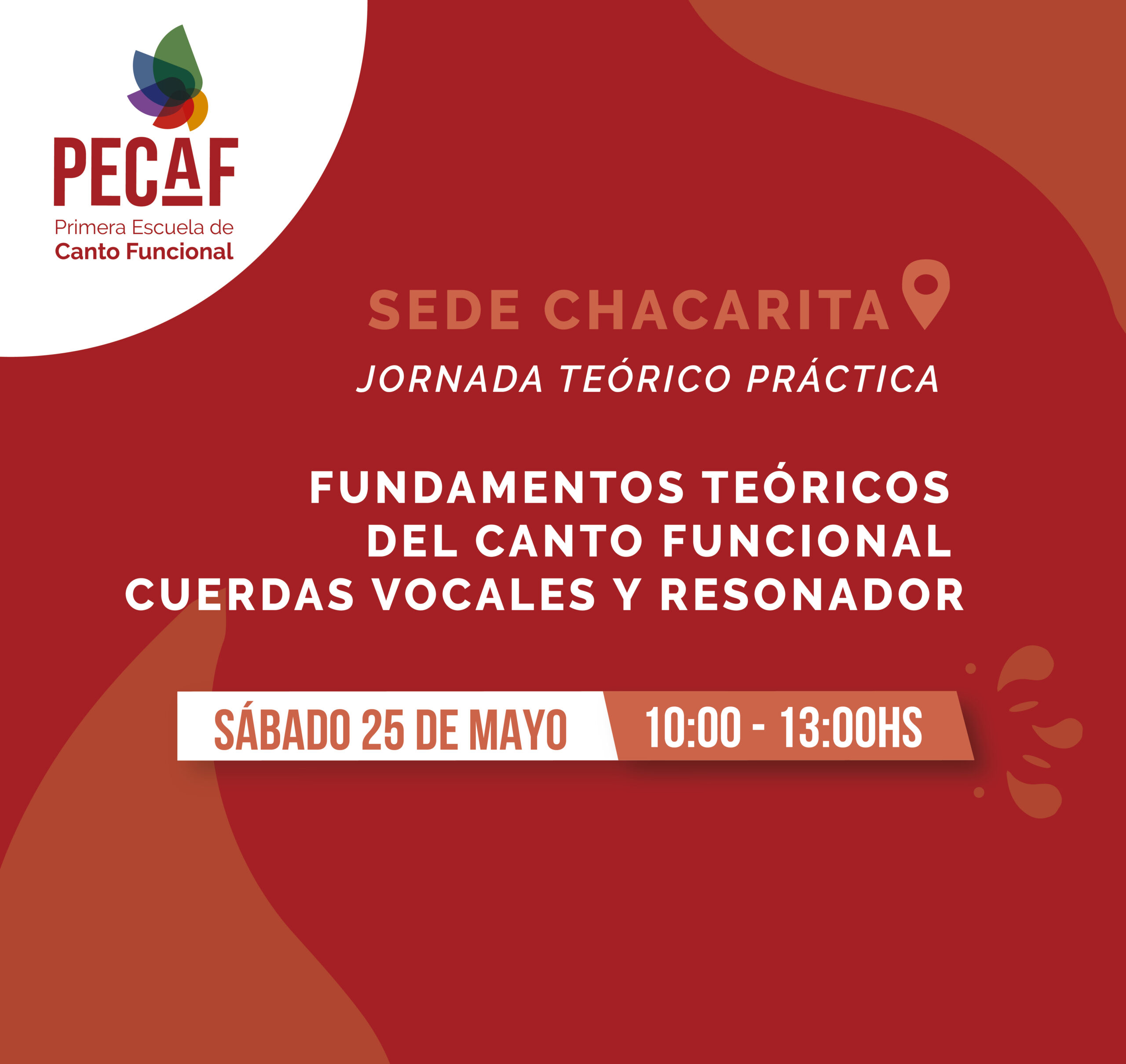 Redes plantilla 2 scaled