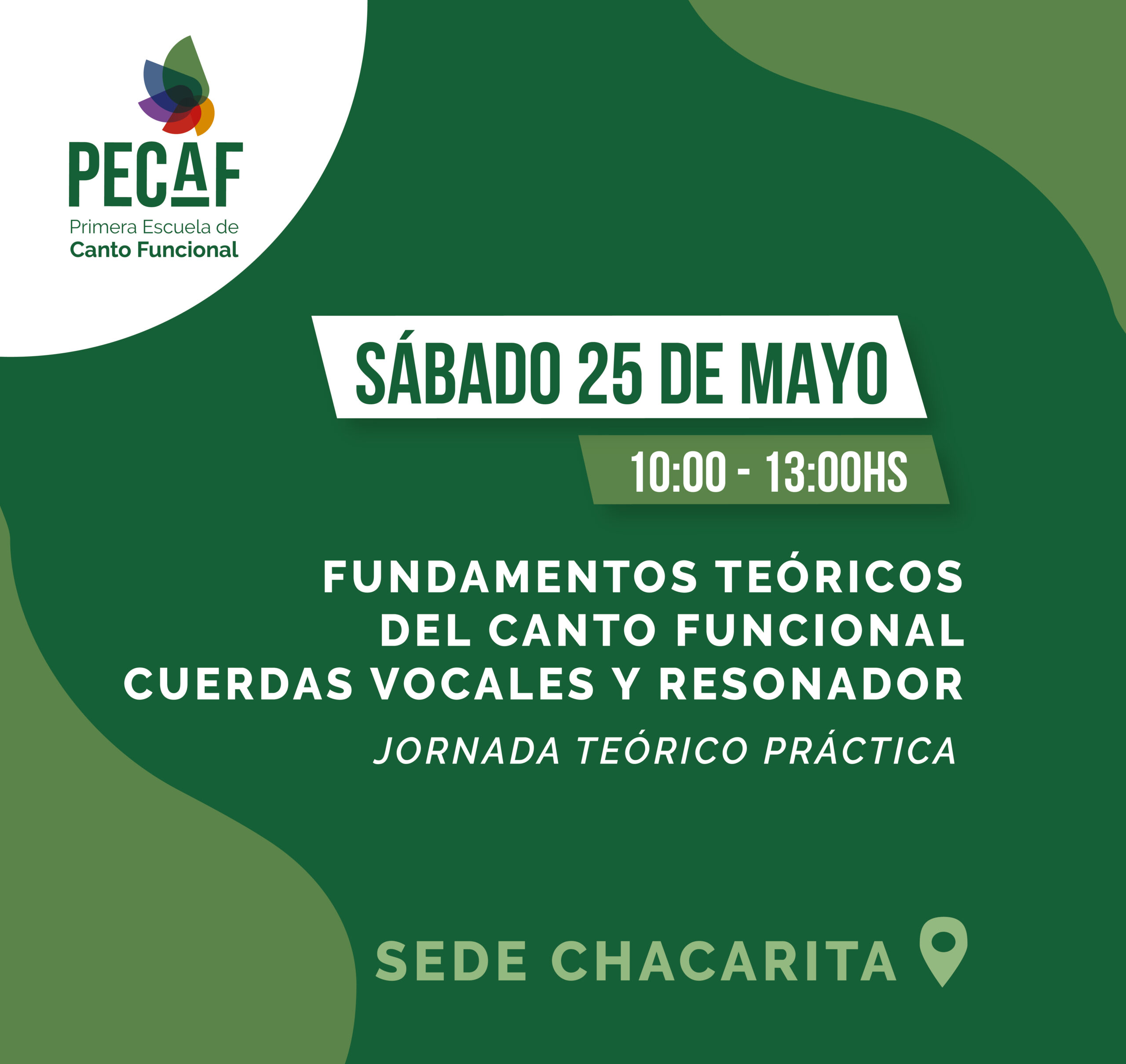 Redes plantilla 3 scaled